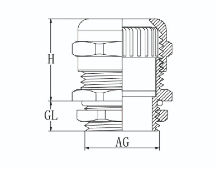 Metal Cable Gland